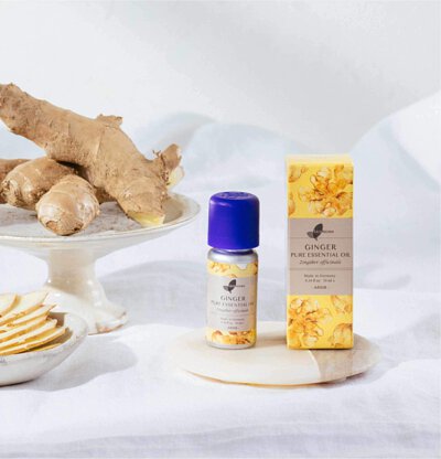 Ginger Essential Oil